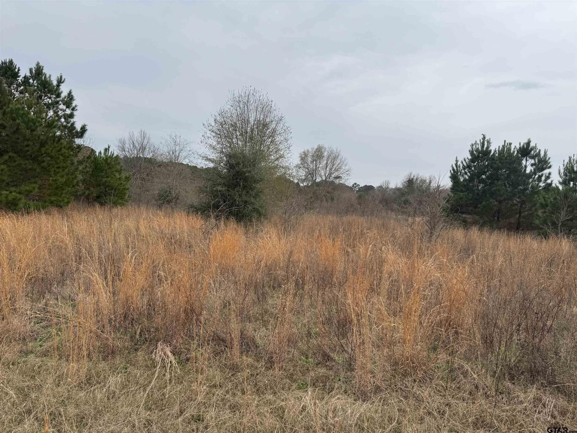 0.92 acres in Cherokee County gallery image 2