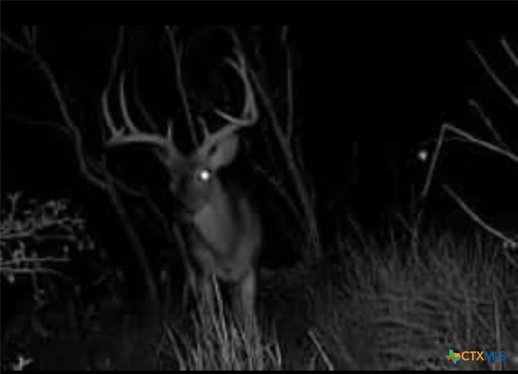 17.04 acres in Gonzales County - photo 8