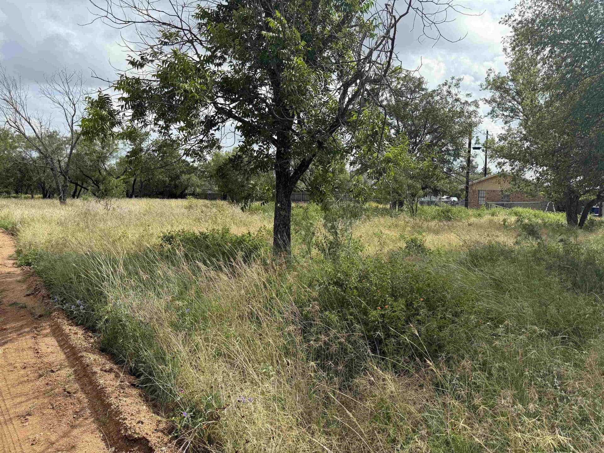 0.23 acres in Burnet County gallery image 2