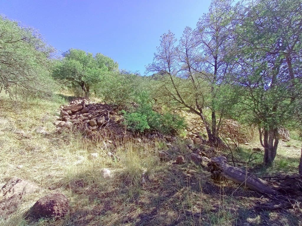 5.67 acres in Jeff Davis County - photo 14