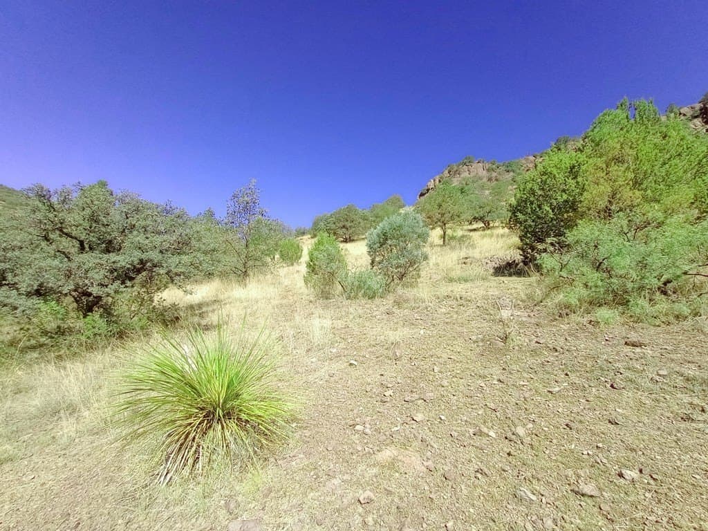 5.67 acres in Jeff Davis County - photo 8