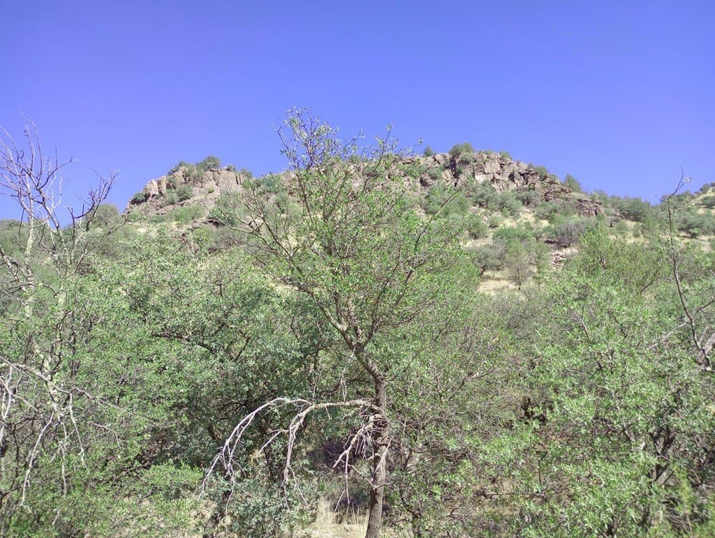 5.67 acres in Jeff Davis County - photo 10