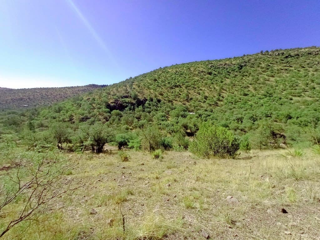 5.67 acres in Jeff Davis County gallery image 2