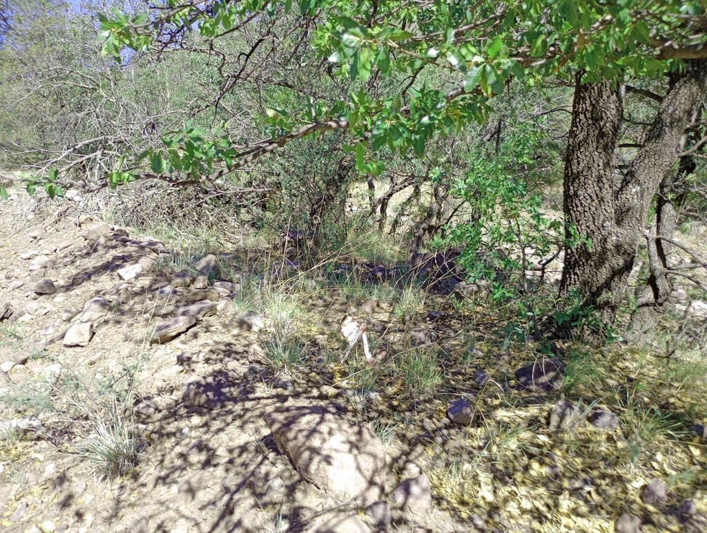 5.67 acres in Jeff Davis County - photo 17