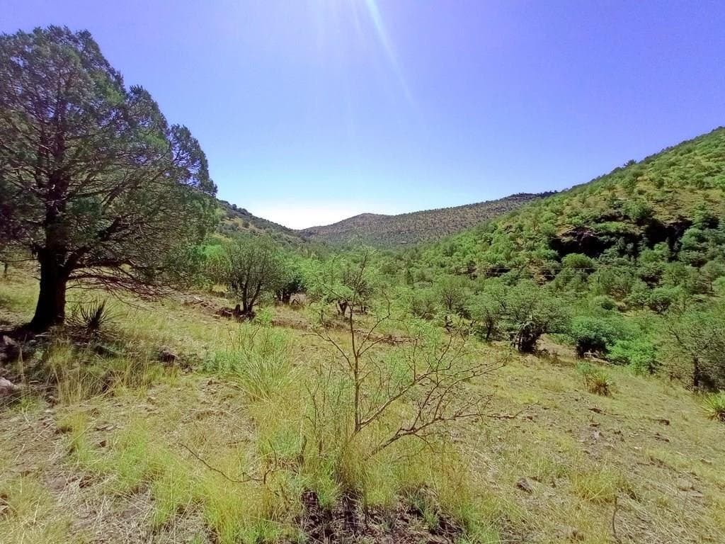 5.67 acres in Jeff Davis County