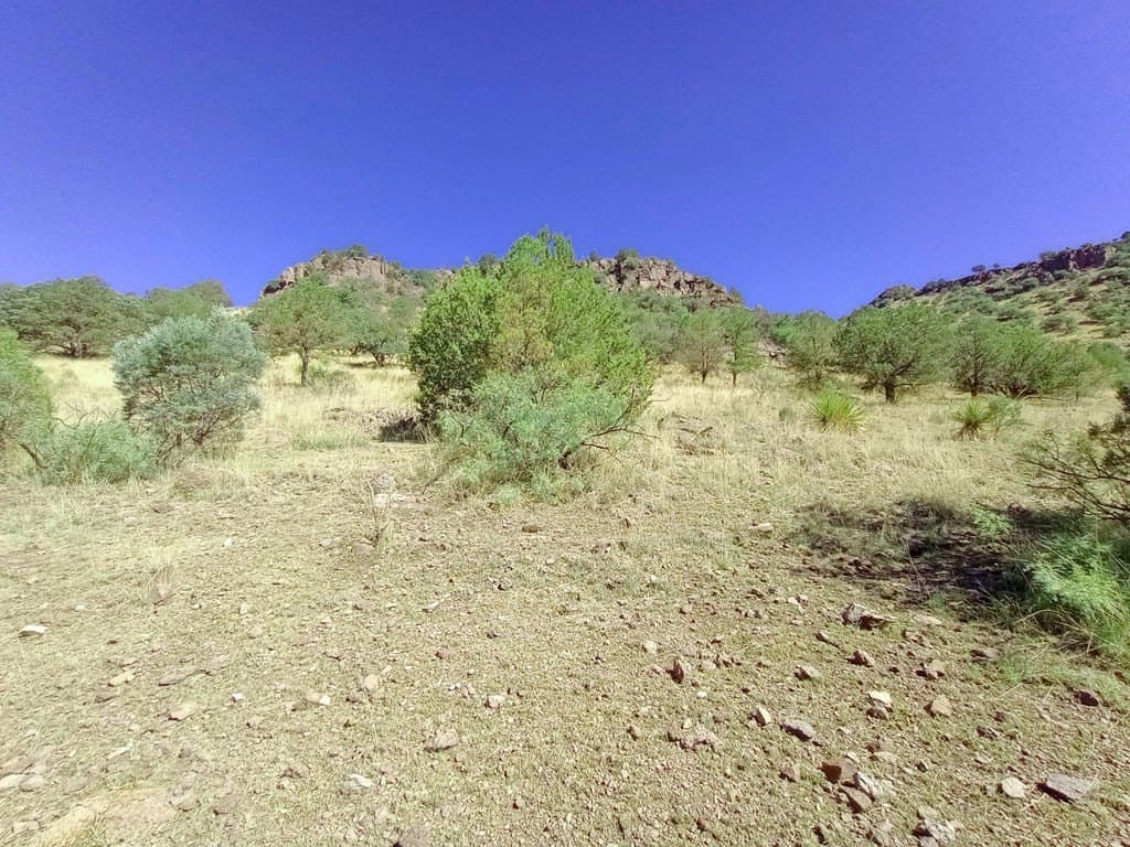 5.67 acres in Jeff Davis County - photo 7
