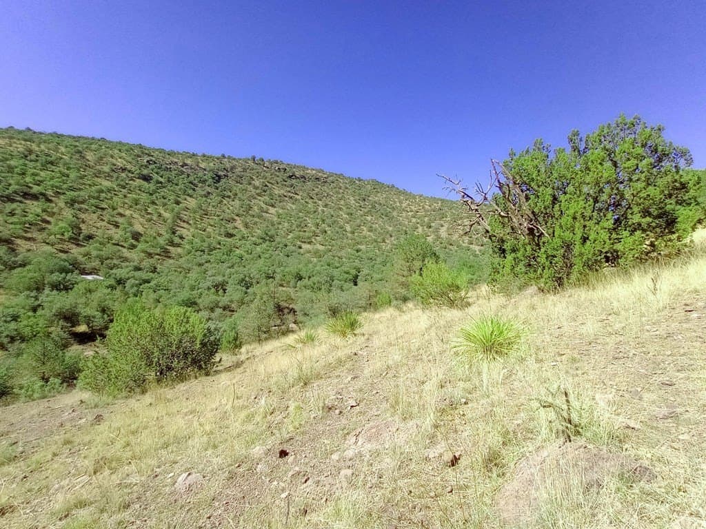 5.67 acres in Jeff Davis County featured view