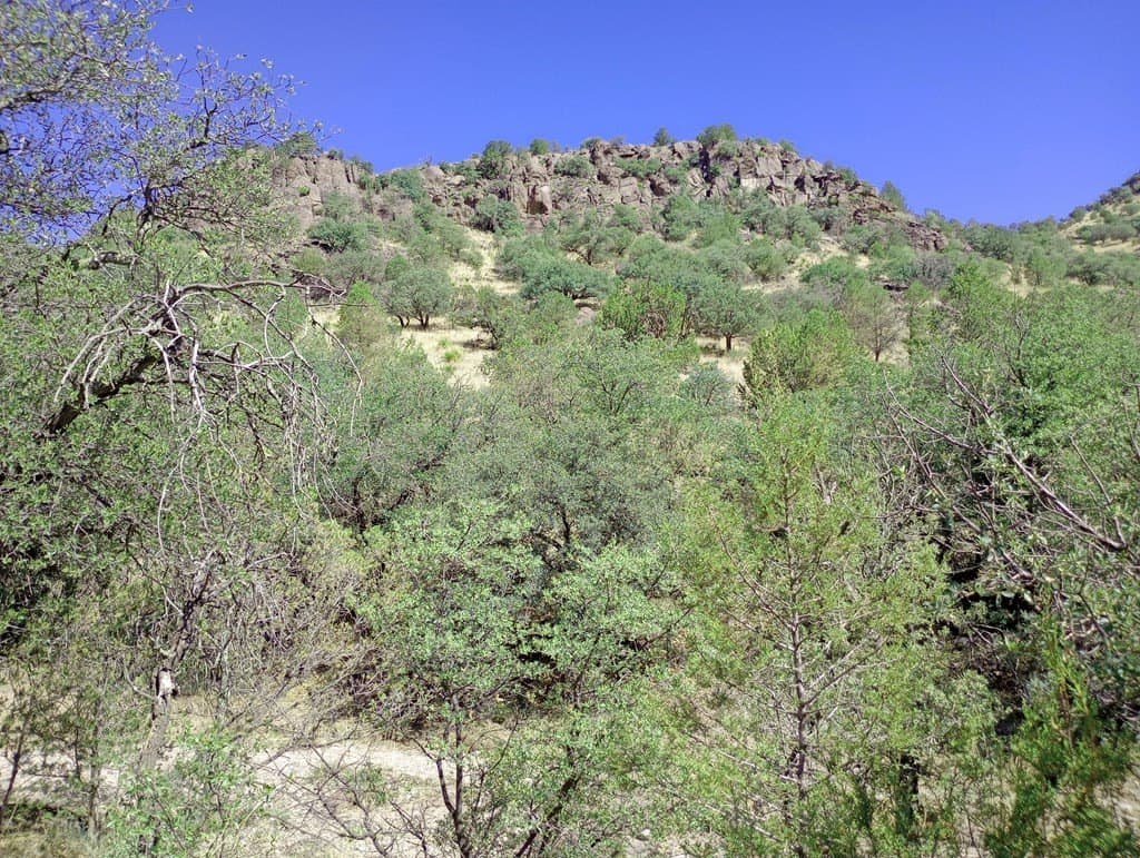 5.67 acres in Jeff Davis County - photo 9
