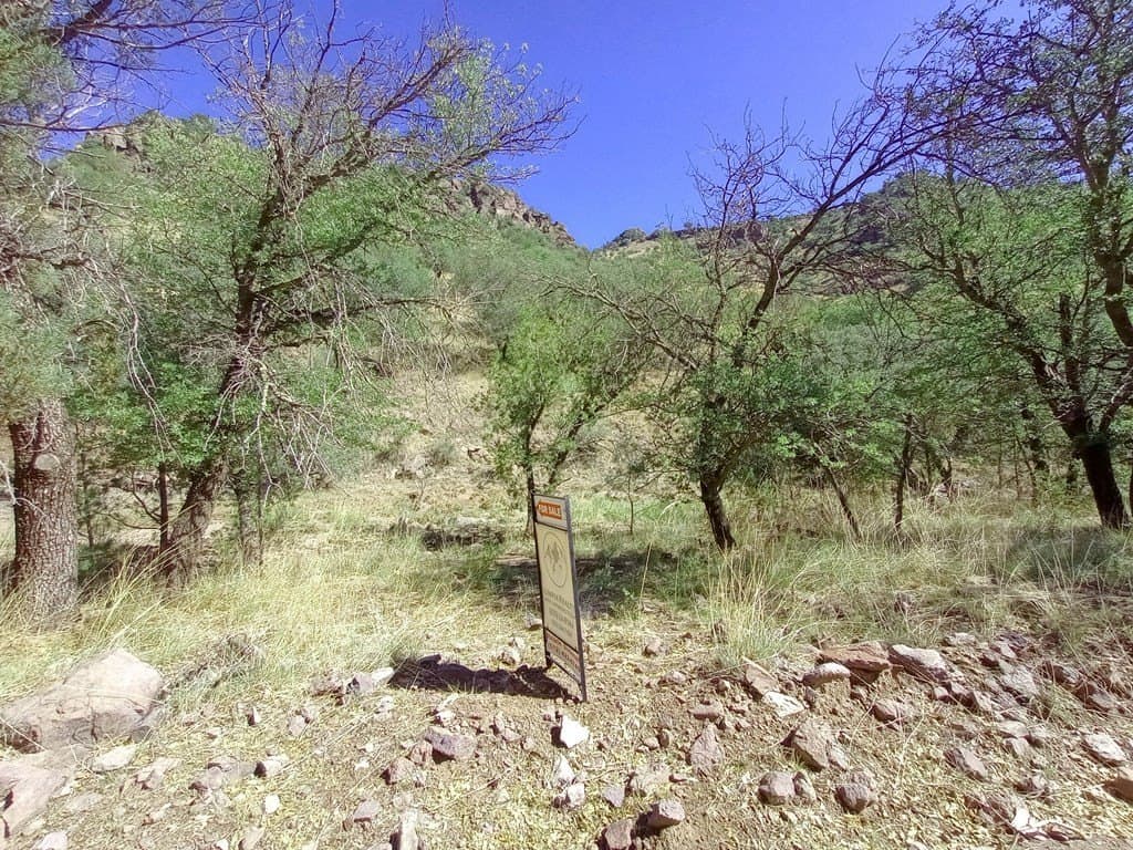 5.67 acres in Jeff Davis County - photo 12