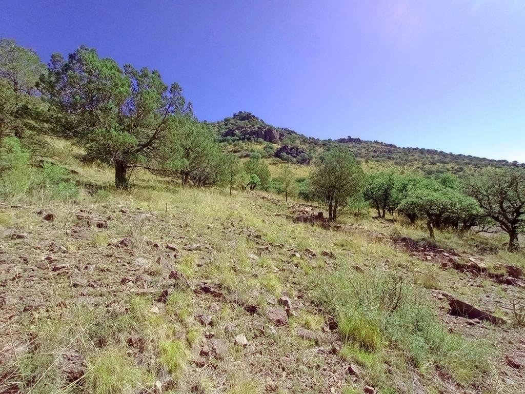5.67 acres in Jeff Davis County gallery image 3