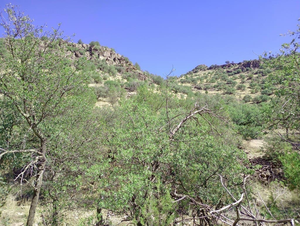 5.67 acres in Jeff Davis County - photo 11