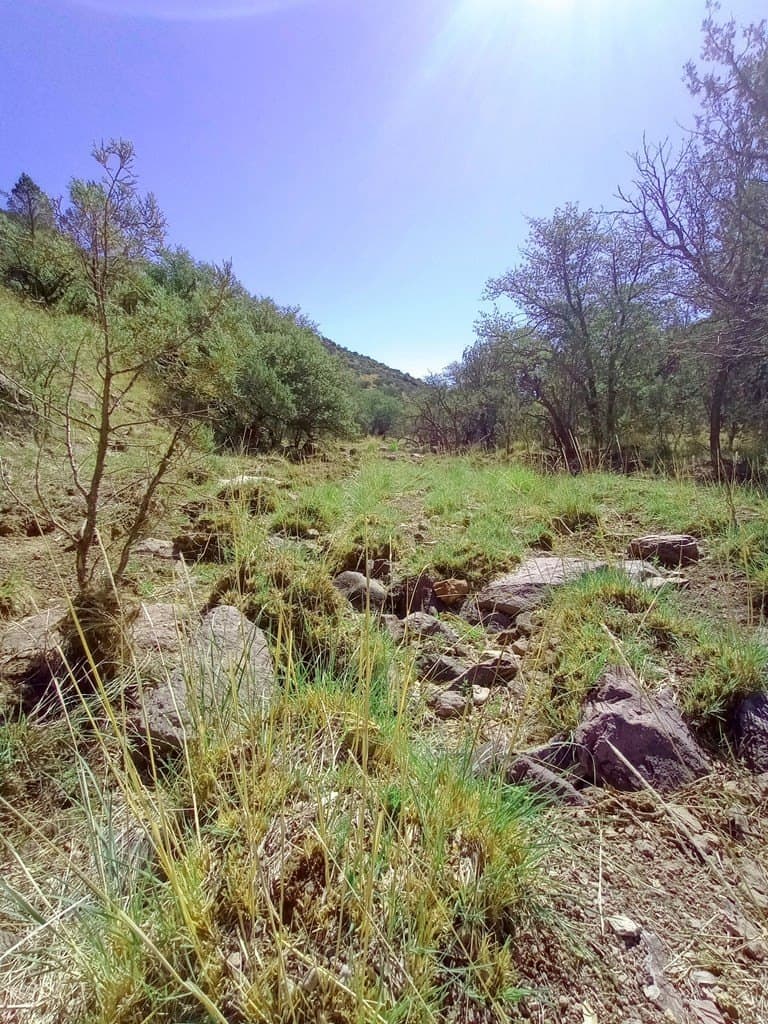 5.67 acres in Jeff Davis County - photo 13