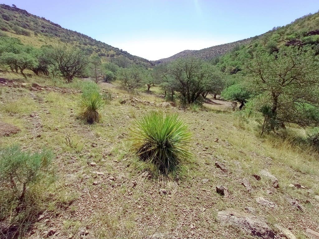 5.67 acres in Jeff Davis County gallery image 4