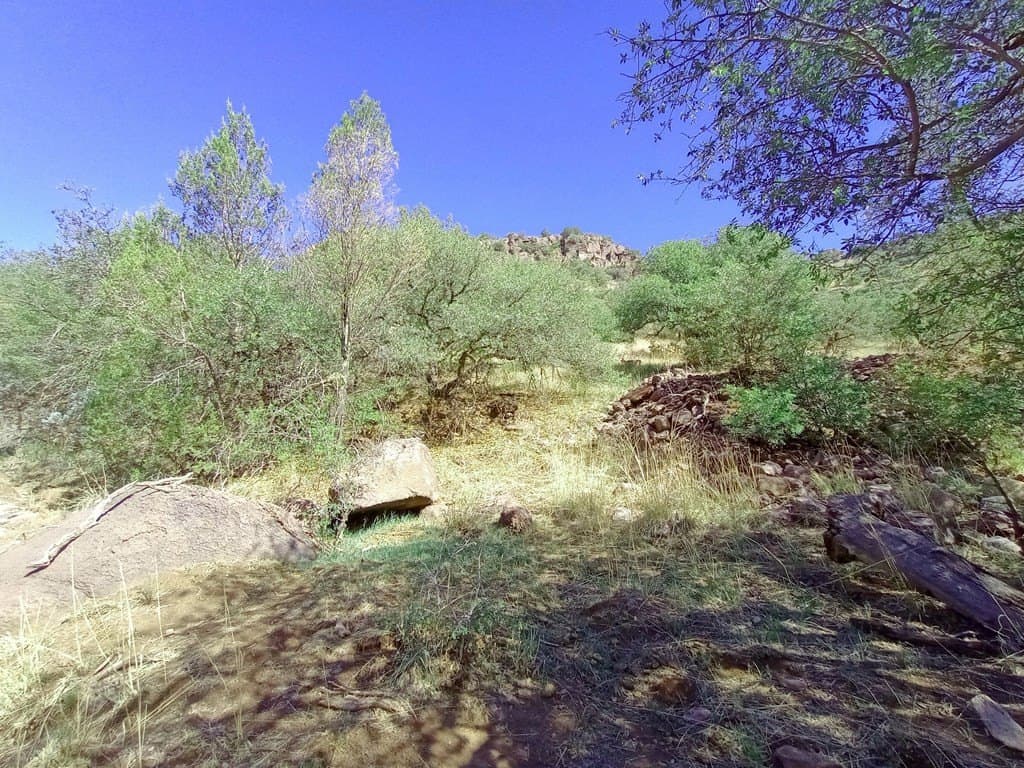 5.67 acres in Jeff Davis County - photo 15