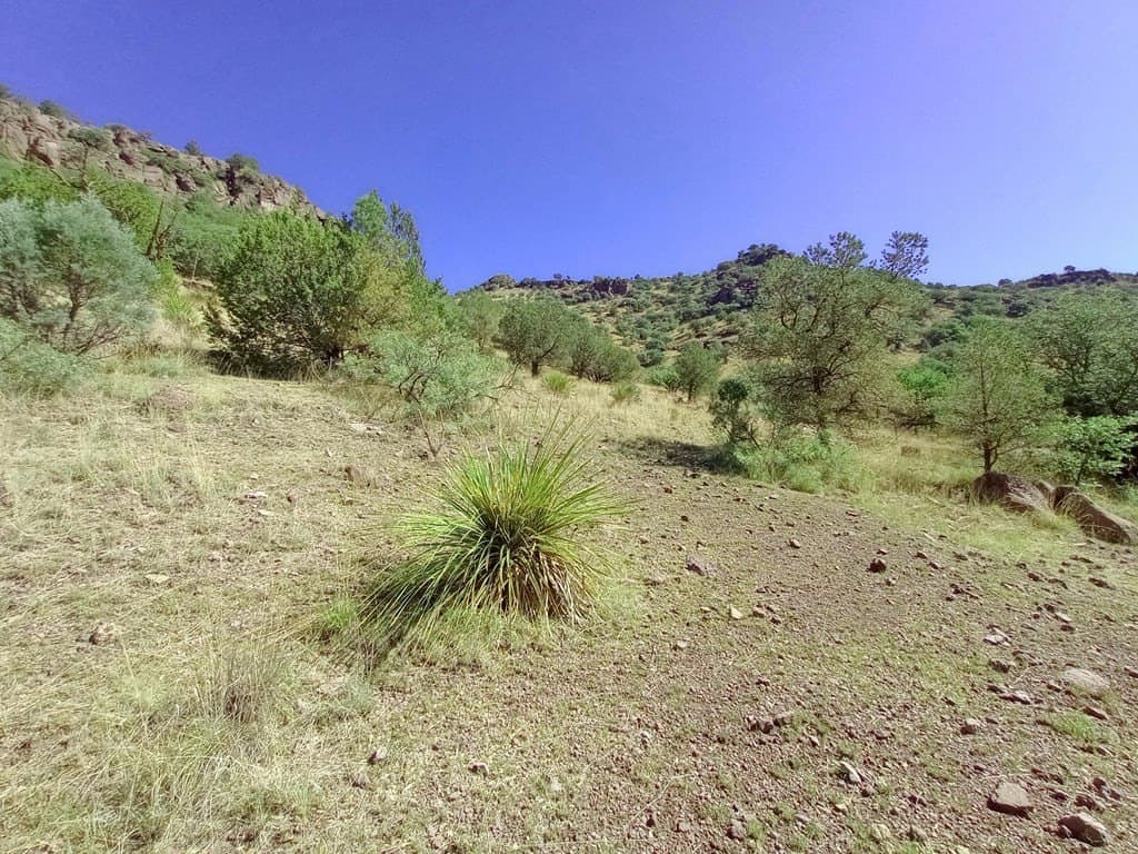 5.67 acres in Jeff Davis County - photo 6