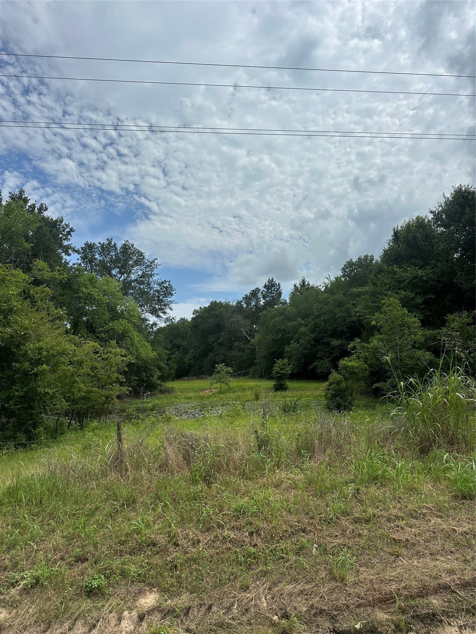 6.6 acres in Freestone County gallery image 3