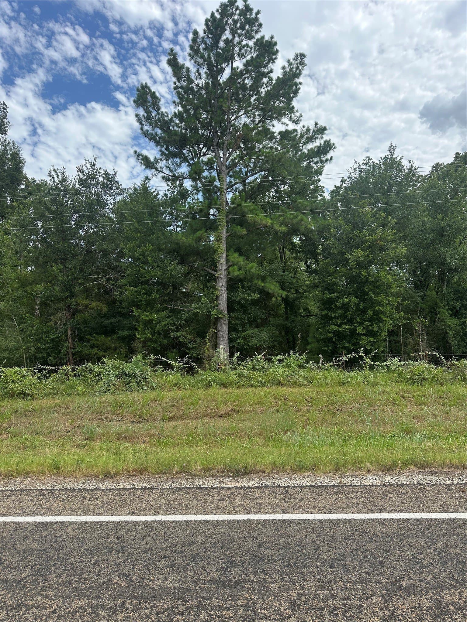 6.6 acres in Freestone County - photo 6