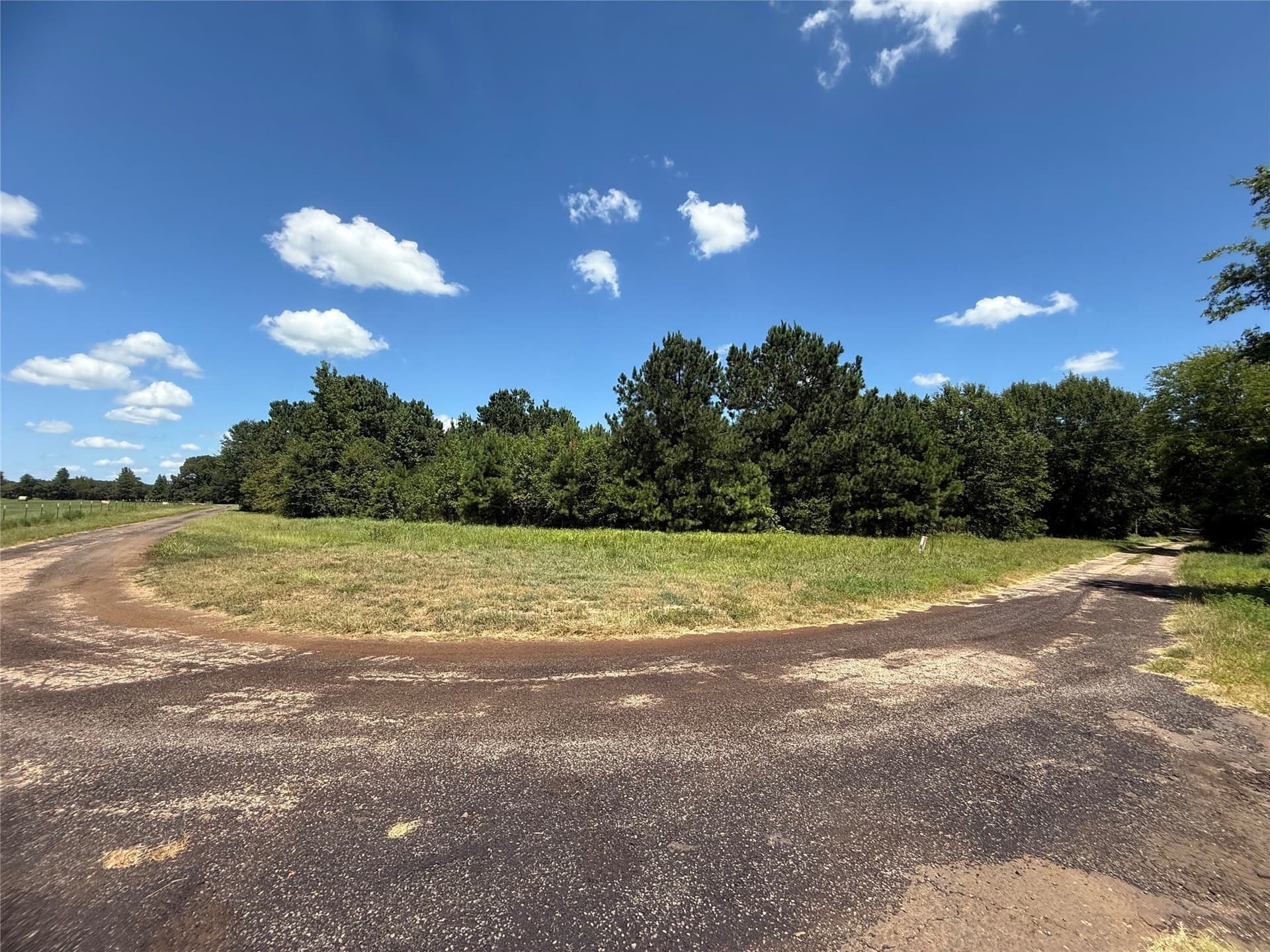 47.7 acres in Titus County - photo 2