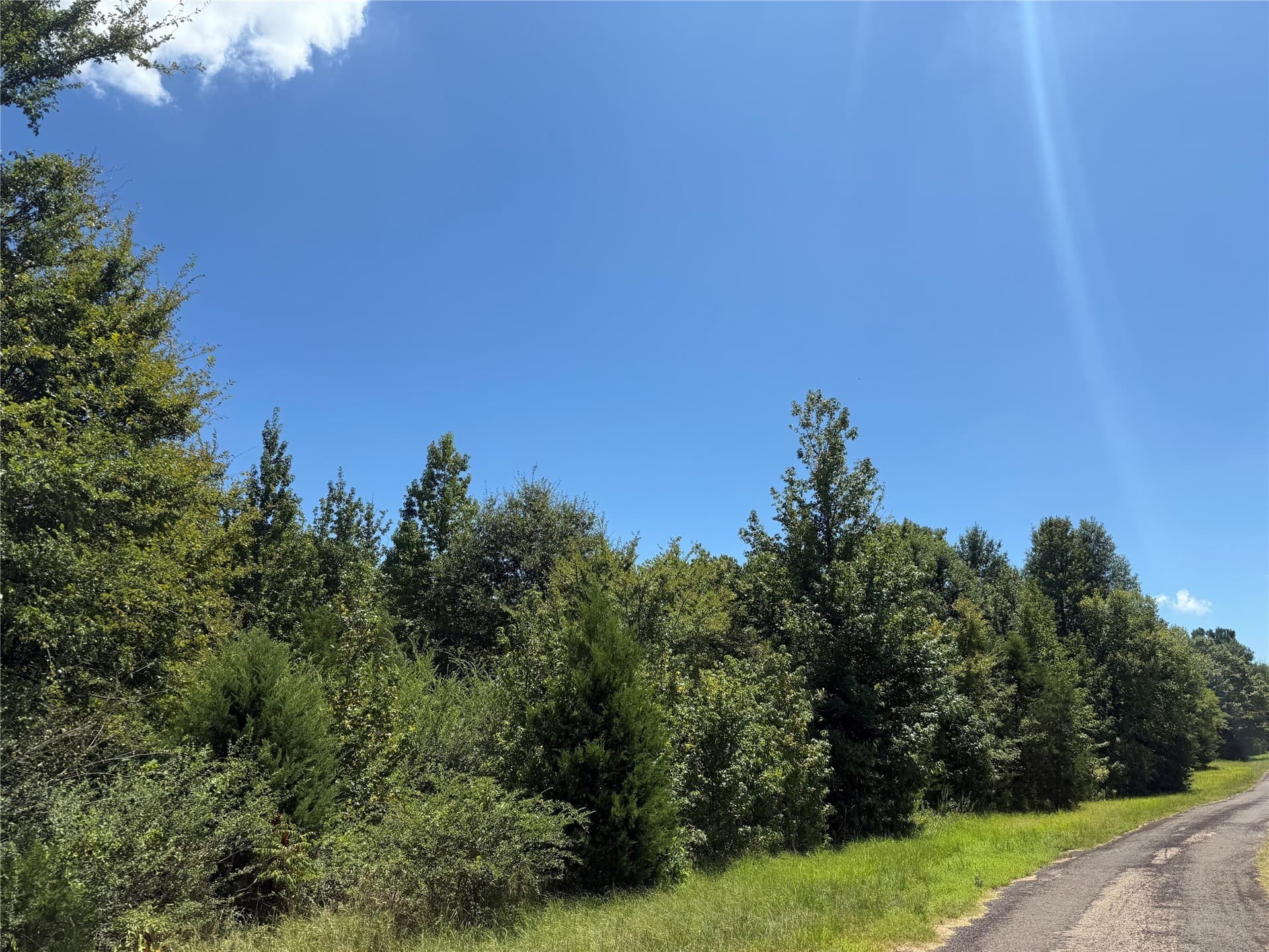 47.7 acres in Titus County