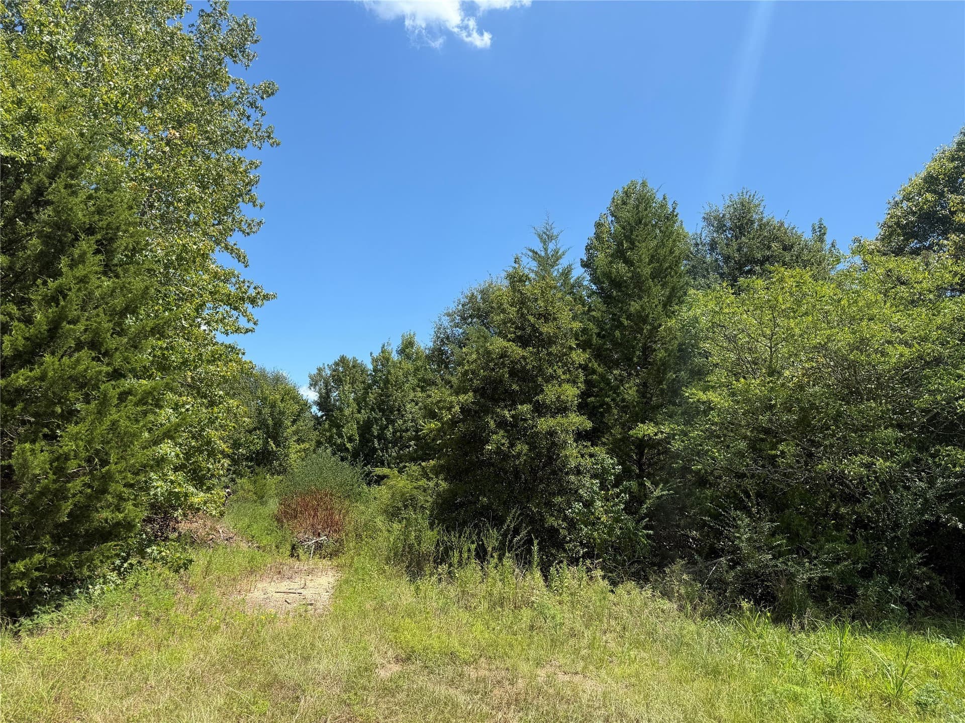 47.7 acres in Titus County - photo 3