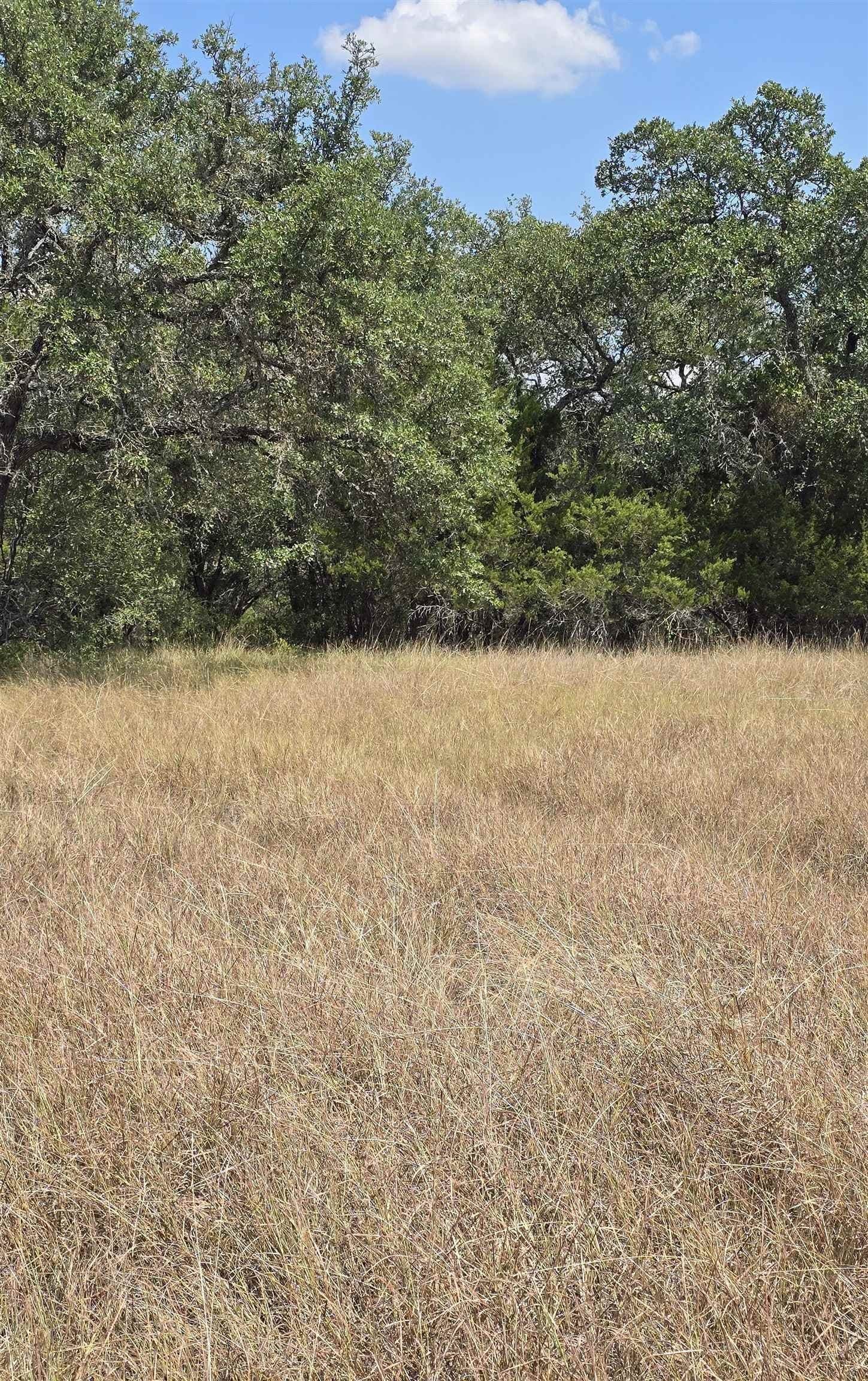 0.36 acres in Burnet County featured view