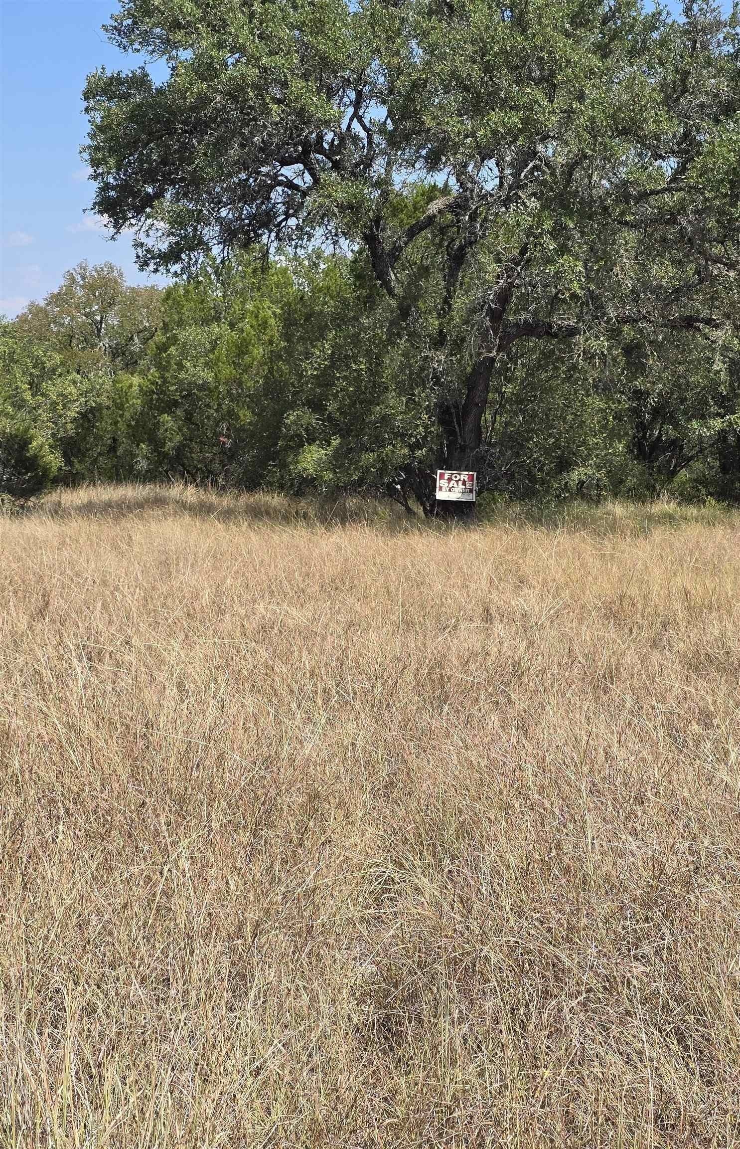 0.36 acres in Burnet County gallery image 4