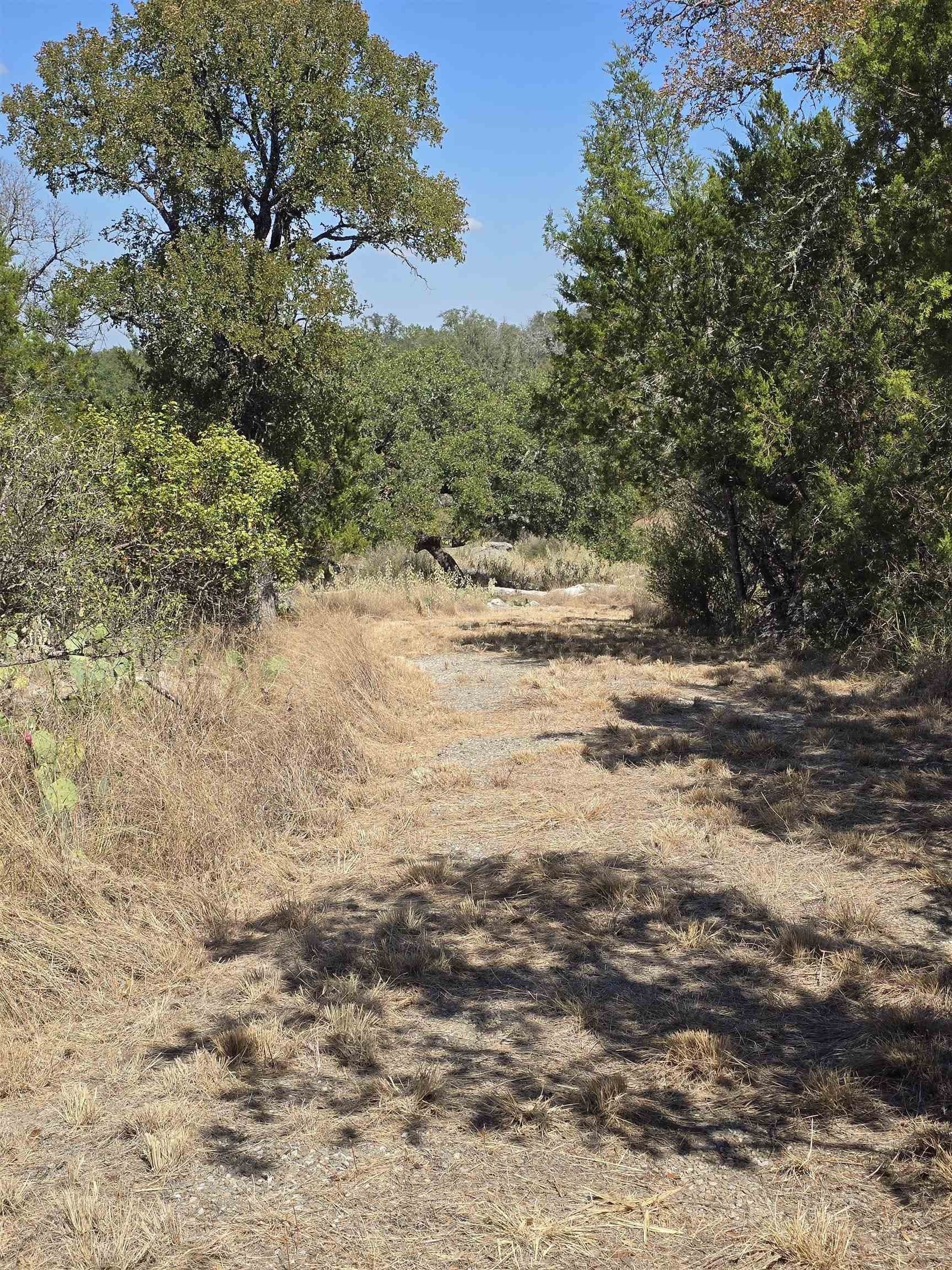 0.36 acres in Burnet County gallery image 2