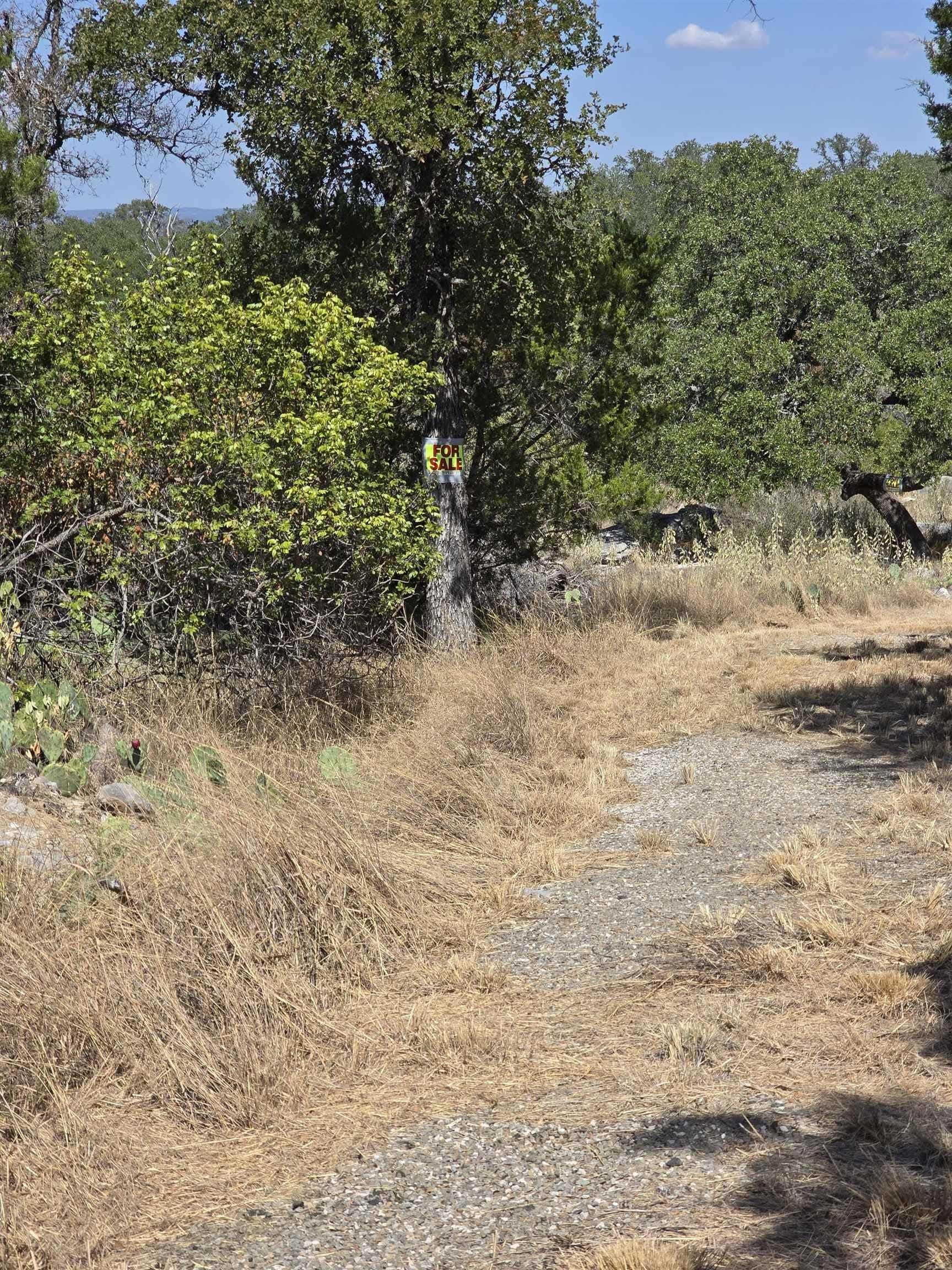 0.36 acres in Burnet County gallery image 3