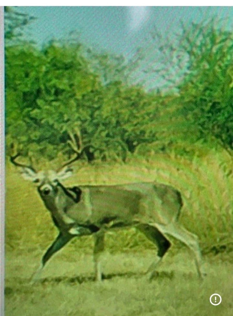 10 acres in San Patricio County - photo 28