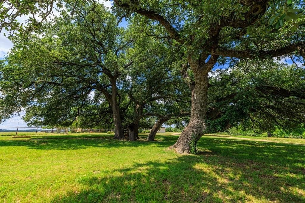 39.82 acres in Gillespie County - photo 46