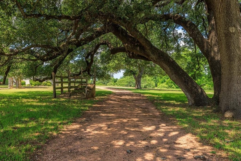 39.82 acres in Gillespie County - photo 47