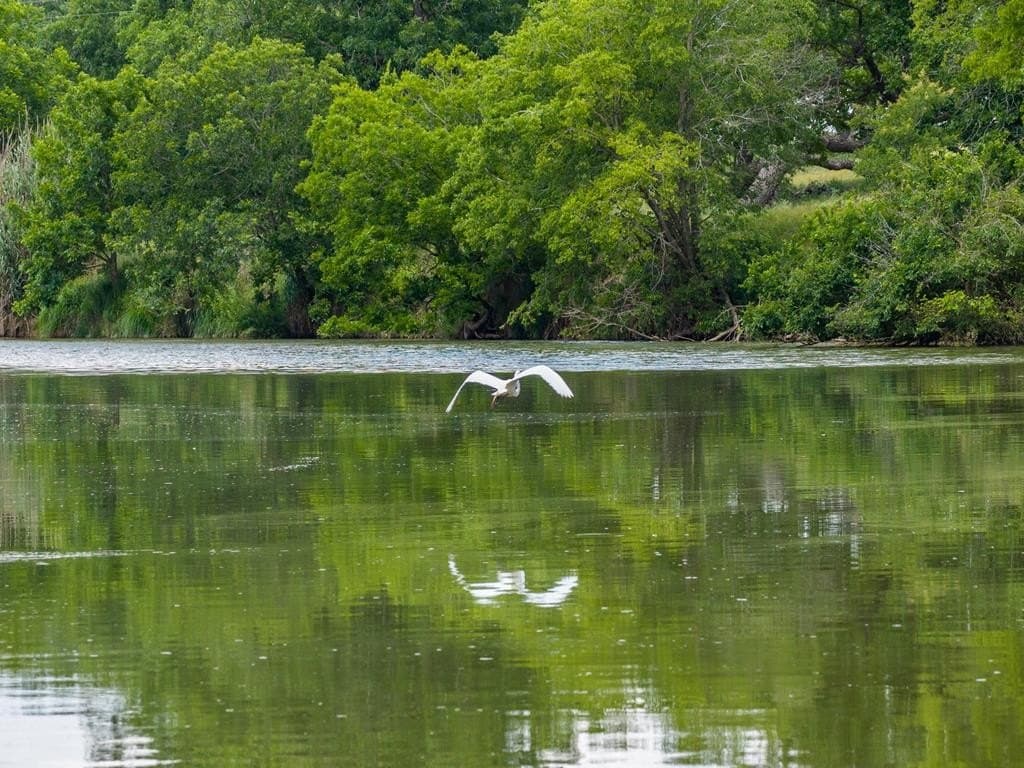 39.82 acres in Gillespie County - photo 42