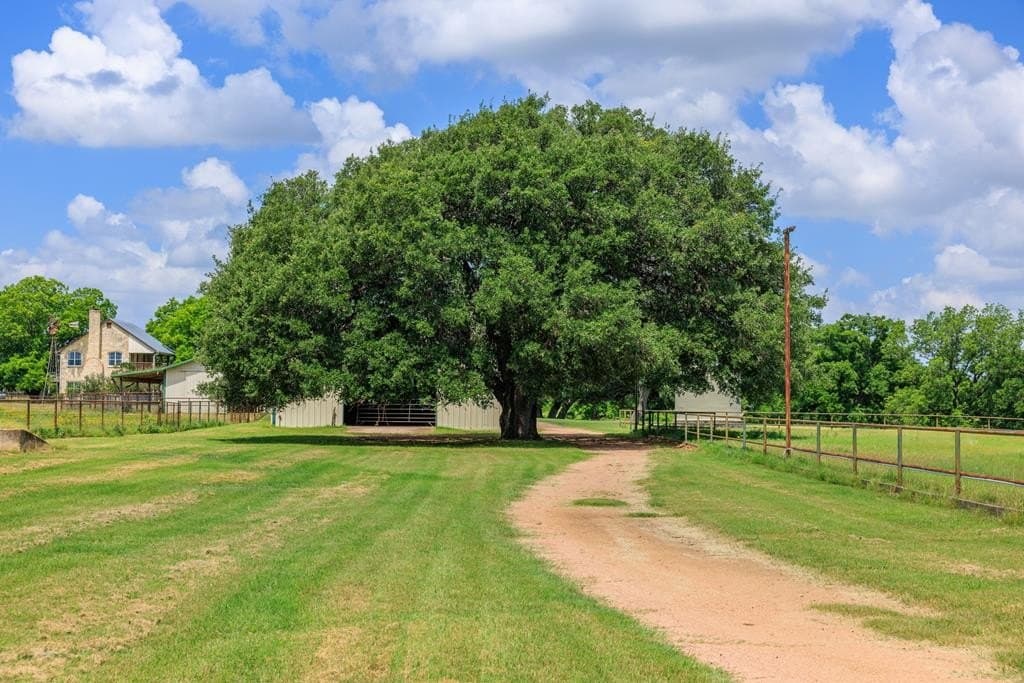 39.82 acres in Gillespie County - photo 43