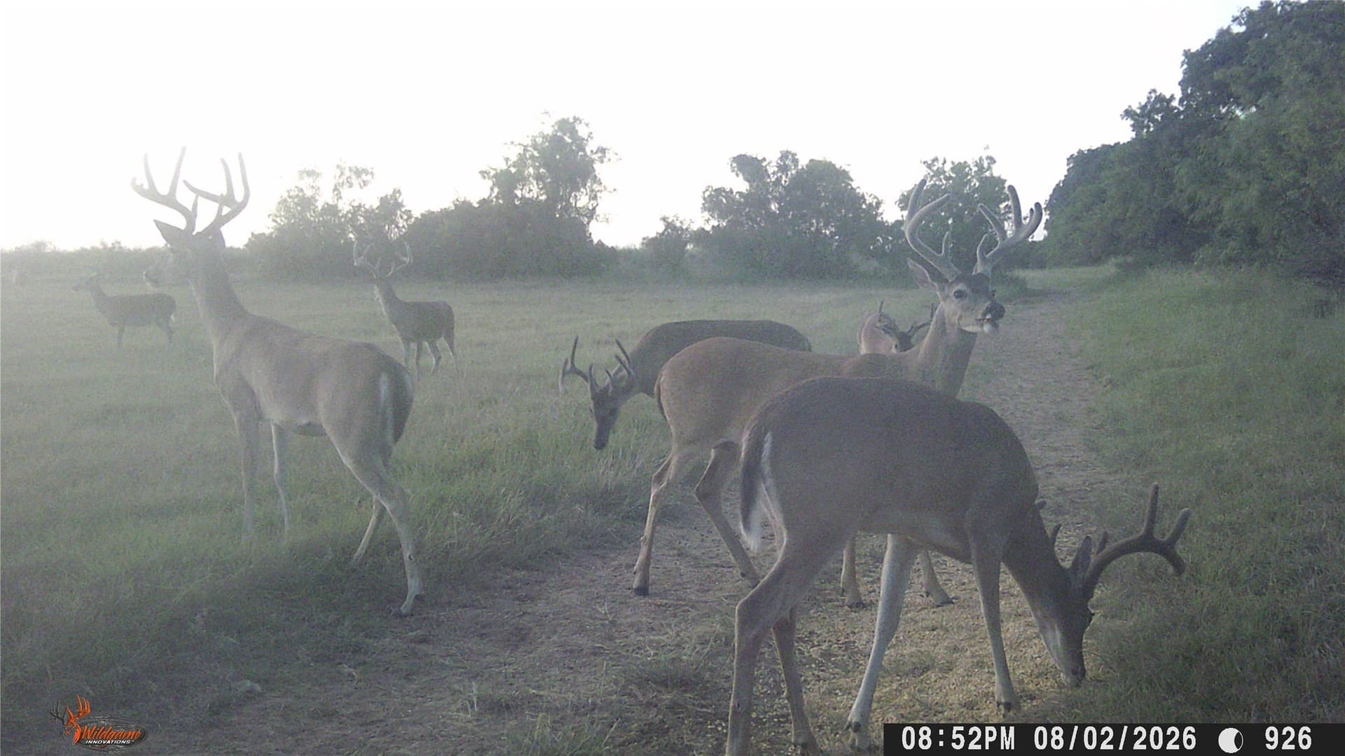 27.21 acres in Brown County - photo 39