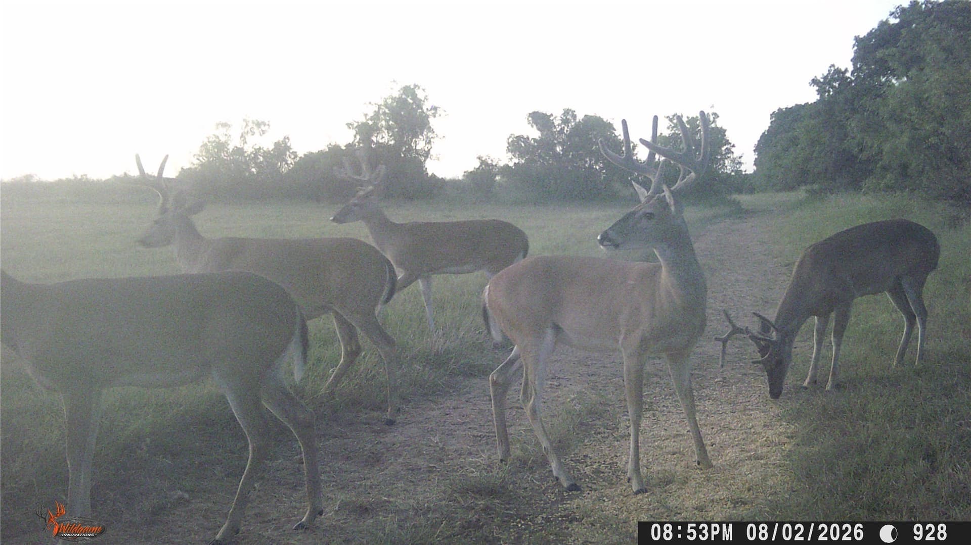 27.21 acres in Brown County - photo 40