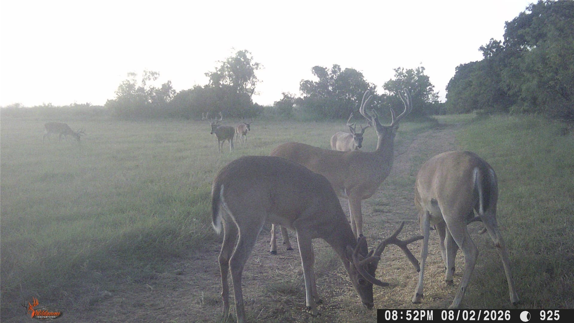 27.21 acres in Brown County - photo 38