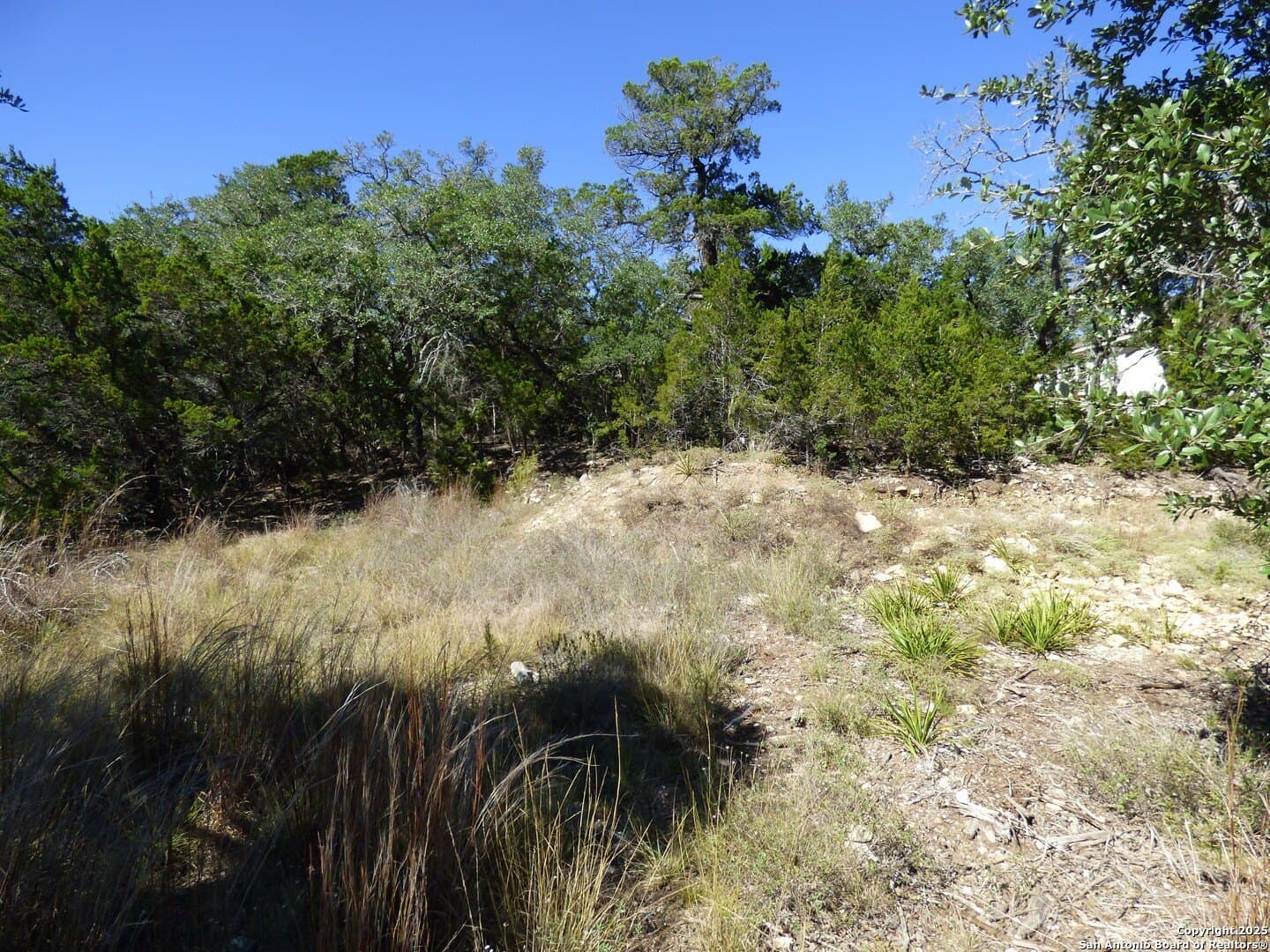 0.5 acres in Comal County - photo 7
