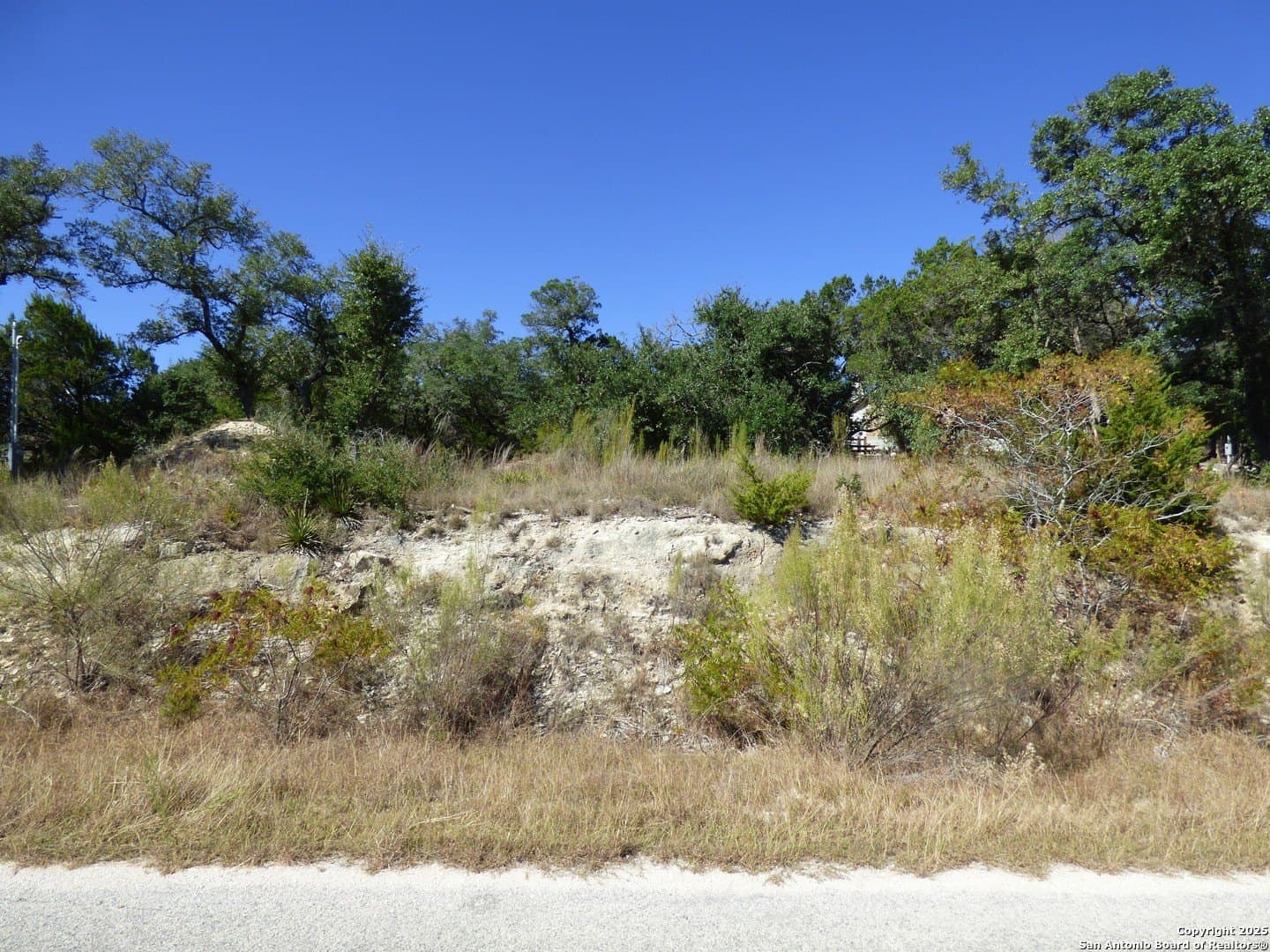 0.5 acres in Comal County gallery image 3