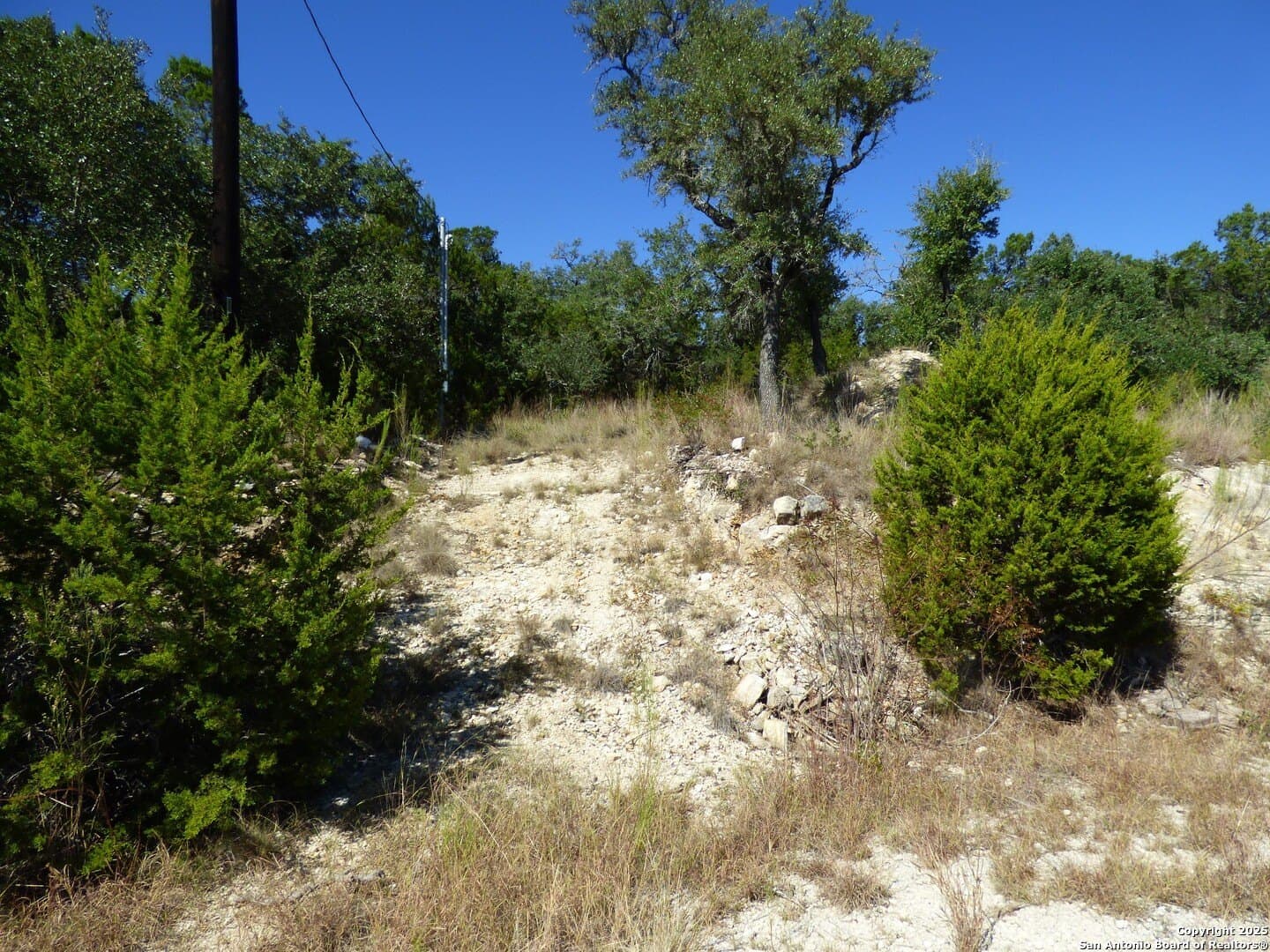 0.5 acres in Comal County gallery image 4