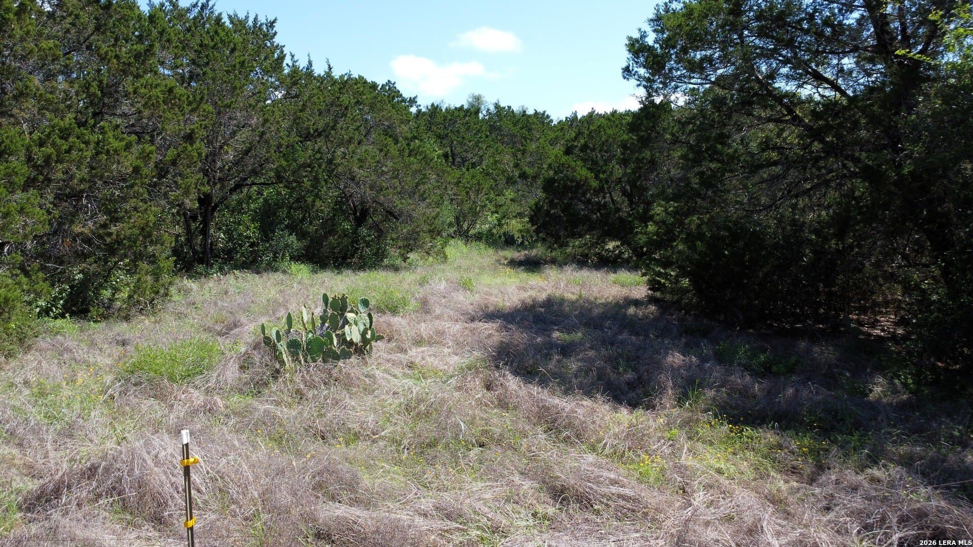 1.43 acres in Bexar County - photo 7