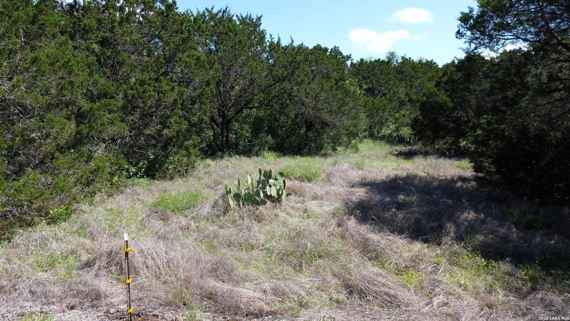 1.43 acres in Bexar County - photo 8