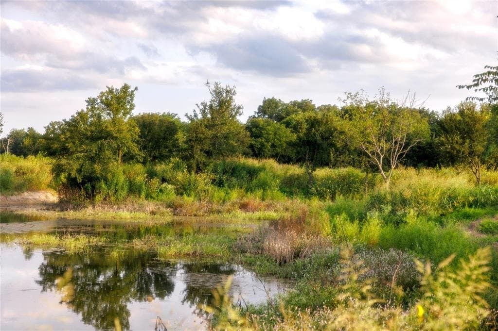 24 acres in Bosque County gallery image 3