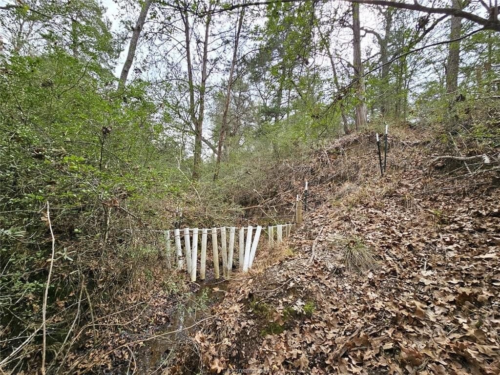 34 acres in Robertson County gallery image 4