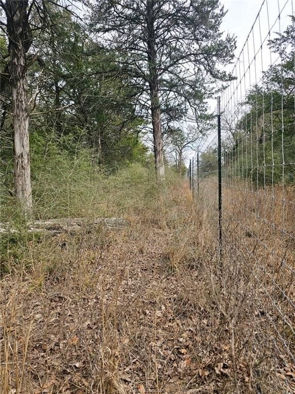 34 acres in Robertson County - photo 7