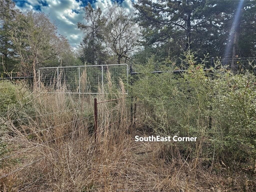 34 acres in Robertson County - photo 10