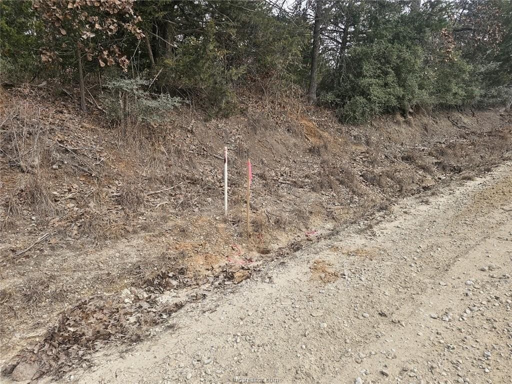 34 acres in Robertson County gallery image 2