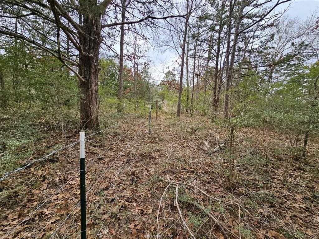 34 acres in Robertson County gallery image 3