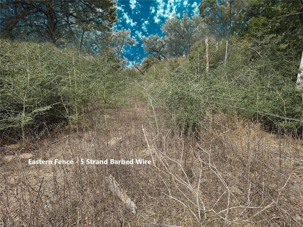 34 acres in Robertson County - photo 11