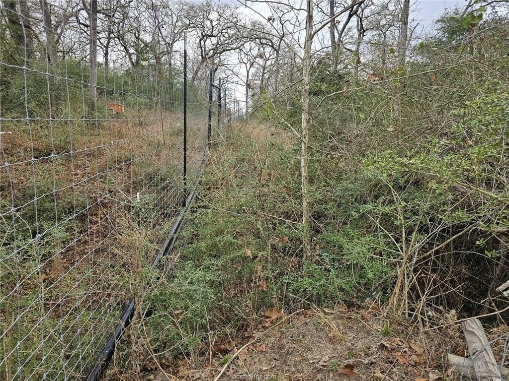 34 acres in Robertson County - photo 8