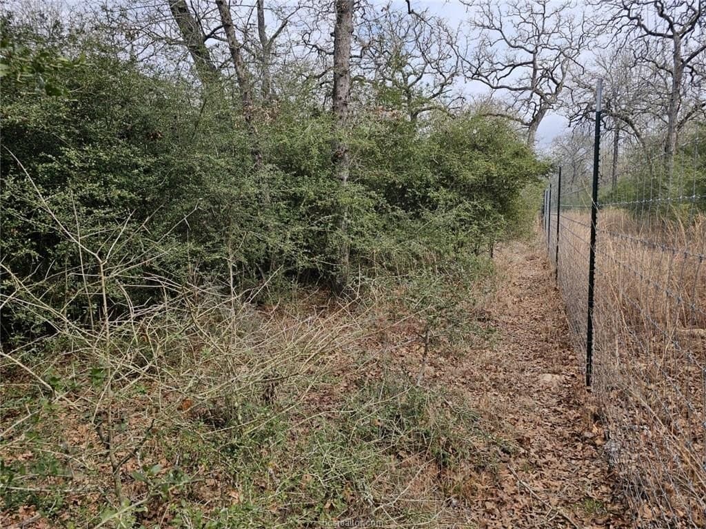 34 acres in Robertson County featured view